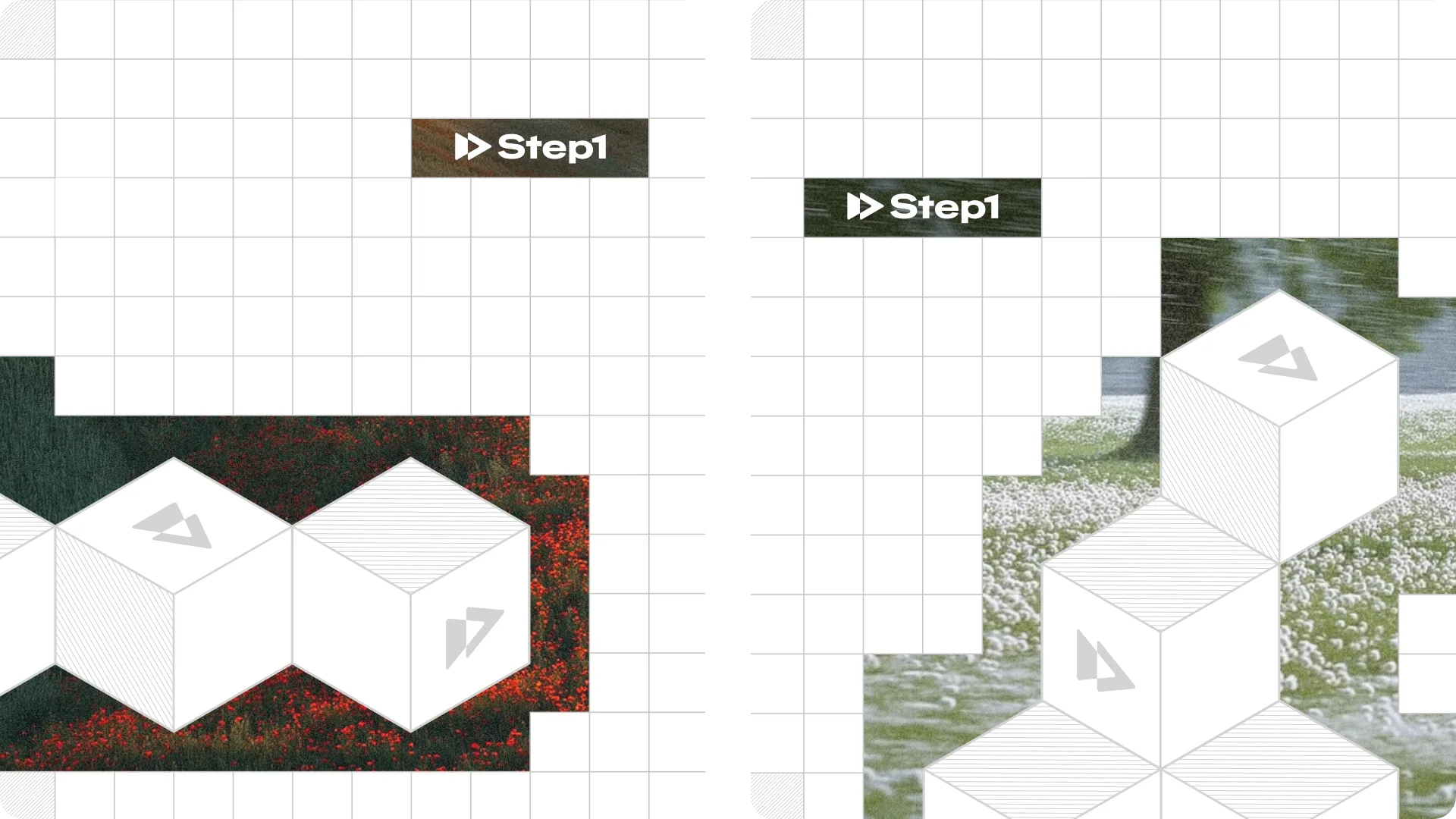 Step1 showcase — plate 04