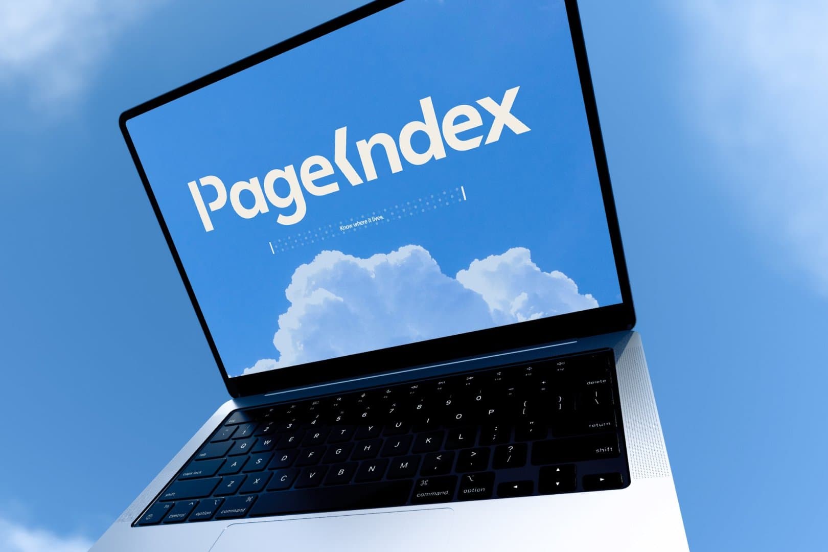 PageIndex